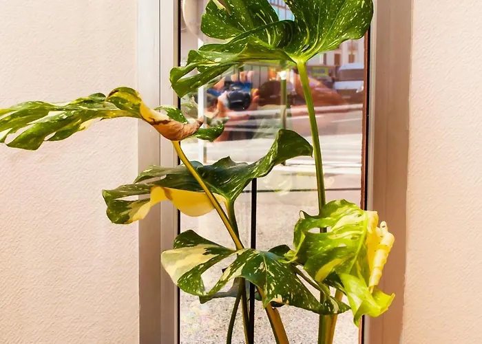 Kennedy Szálloda 2*